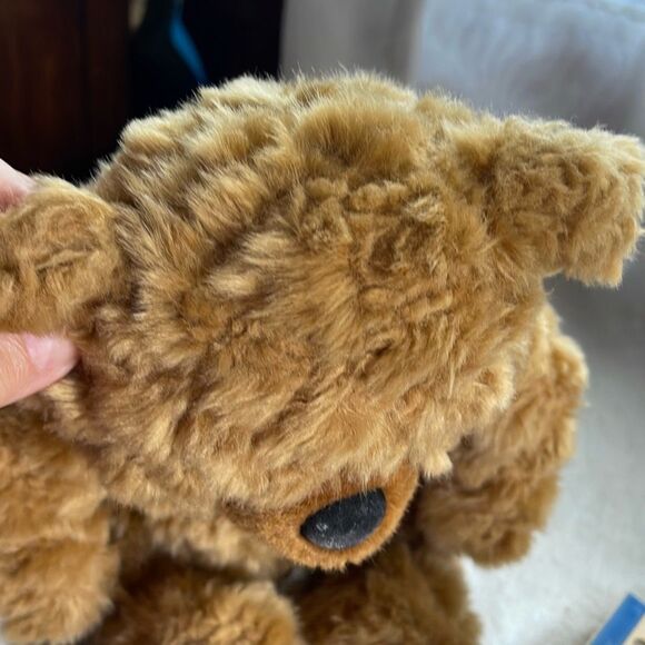 10” DGE plush curly haired Teddy bear with red heart. - Picture 9 of 9